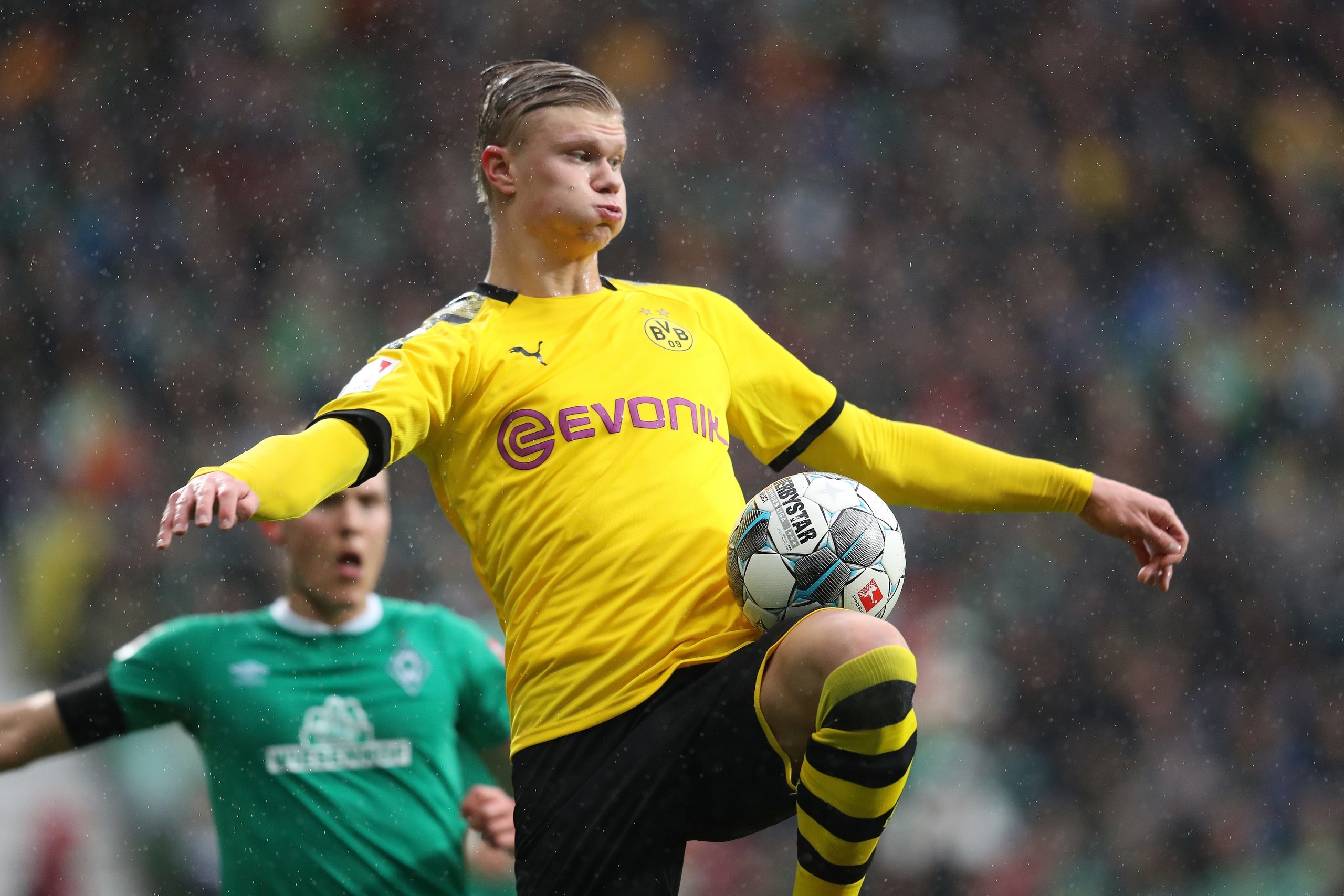 波尔津吉斯 波尔津吉斯